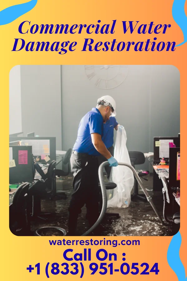 Commercial Water Damage Restoration in Madisonville, KY